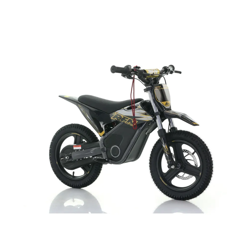 Kids RFN Warrior SX-E500 Electric Bike (Ages: 4-8 yrs)