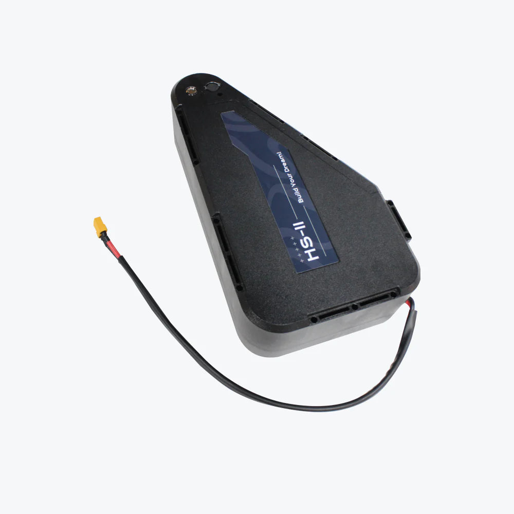 eBike Conversion Kit: 3000W MTX Rim with 72V 20Ah Battery