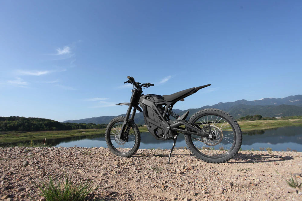 E RIDE PRO SS (19″)