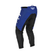 Motocross 2022 F-16 Youth Pants by Fly Racing